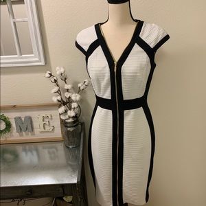 Cachè women’s dress